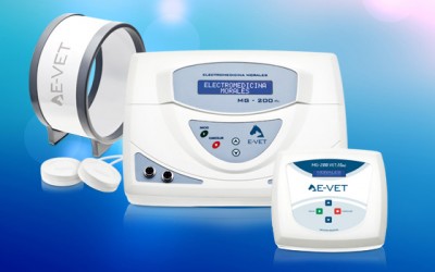 Magnetoterapia con MG200 y MG200 Mini.