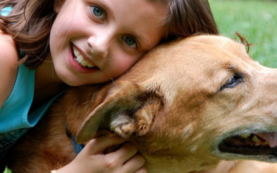 Consejos para cuidar a tu mascota