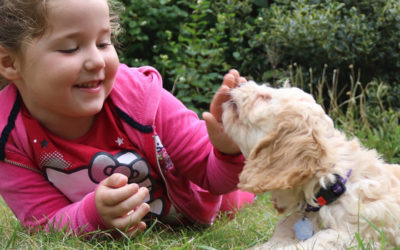 En Madrid se realizan terapias y actividades asistidas con perros