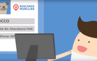 Buscando Huellas, plataforma para encontrar mascotas perdidas