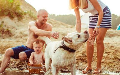 ¡Vacaciones con tus mascotas!