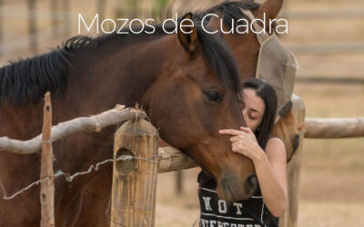 Los mozos de cuadra: funciones y responsabilidades