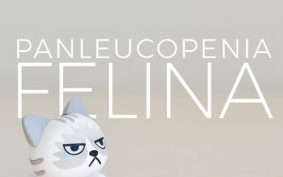¿Qué es la Panleucopenia felina?