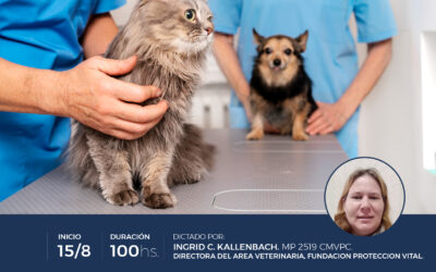 DIPLOMADO EN TECNICAS DE FISIOTERAPIA Y REHABILITACIÓN EN PEQUEÑOS ANIMALES