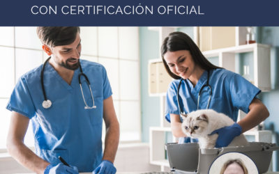 Curso de Fisioterapia para pequeñas mascotas