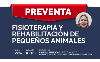 DIPLOMADO EN TÉCNICAS DE FISIOTERAPIA Y REHABILITACIÓN EN PEQUEÑOS ANIMALES