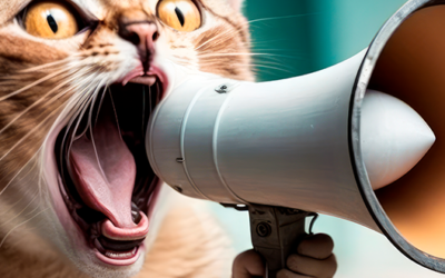 ¿Cómo nos hablan los gatos? – Comportamiento y su interpretación
